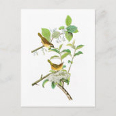 Carte Postale Paruline à poitrine jaune John Audubon Birds Améri (Devant)