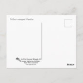 Carte Postale Paruline à rumeurs jaunes (Dos)