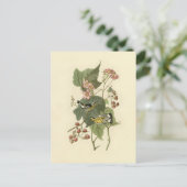 Carte Postale Paruline agnole d'Audubon (Debout devant)