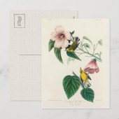 Carte Postale Paruline jaune à ailes bleues de Birds of America (Devant / Derrière)