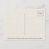 Carte Postale Paruline jaune à ailes bleues de Birds of America (Dos)