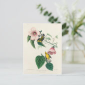 Carte Postale Paruline jaune à ailes bleues de Birds of America (Debout devant)