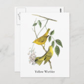 Carte Postale Paruline jaune, John Audubon (Devant / Derrière)
