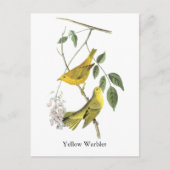 Carte Postale Paruline jaune, John Audubon (Devant)