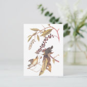 Carte Postale Paruline mangeuse de ver d'Audubon (Debout devant)