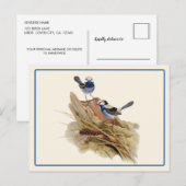 Carte Postale Paruline Turquoisine superbe (Devant / Derrière)