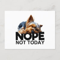 Pas aujourd'hui Yorkshire Terrier
