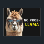 Carte Postale Pas d'Alpaga Cool Prob-Llama avec lunettes de sole<br><div class="desc">Pas d'Alpaga Cool Prob-Llama avec lunettes de soleil Funny Carte postale</div>