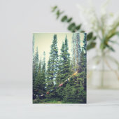 Carte Postale Pas De Bras Autorisés Dans La Forêt (Debout devant)