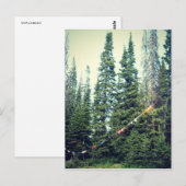 Carte Postale Pas De Bras Autorisés Dans La Forêt (Devant / Derrière)