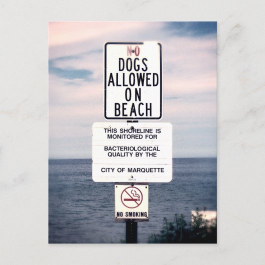 Carte Postale Pas De Chiens Autorisés Sur La Plage (Devant)