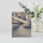 Carte Postale Pas de dérive (Debout devant)