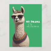 Carte Postale Pas de Drama Llama Funky Alpaca Lunettes de soleil (Devant)