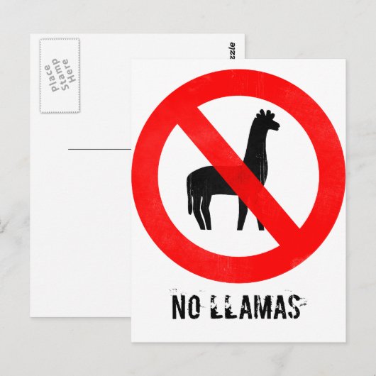Carte Postale Pas de lamas (Devant / Derrière)