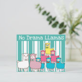 Carte Postale Pas de lamas dramatiques (Debout devant)