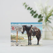 Carte Postale Pas de parking (Debout devant)