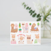 Carte Postale Pas de problème Llamas (Debout devant)