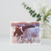 Carte Postale pas de taureau (Debout devant)