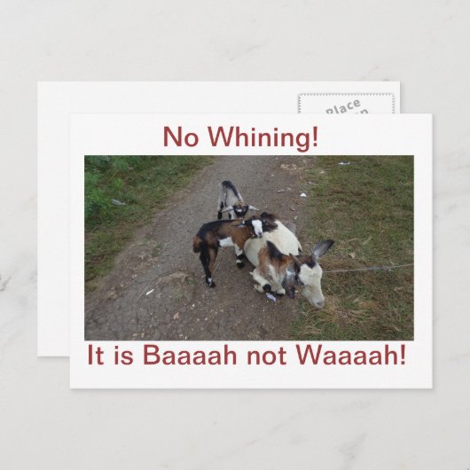 Carte Postale Pas de Whining ! (Devant / Derrière)