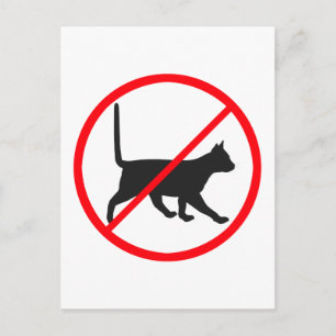 Carte Postale Pas D'Entrée Pour Les Chats !