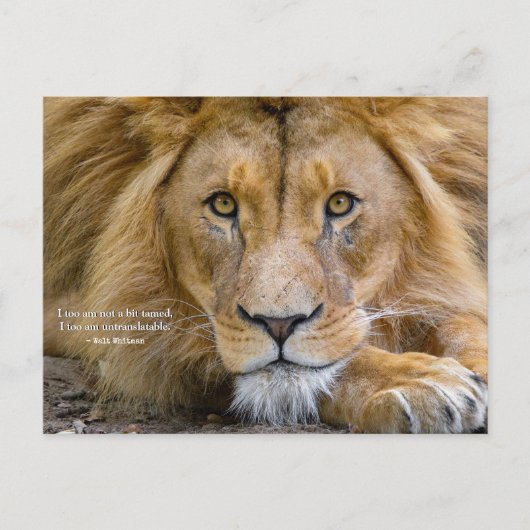 Carte Postale Pas du tout apprivoisé - Citation de motivation +  (Devant)