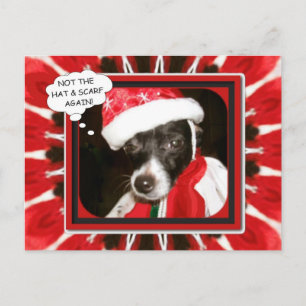 Carte Postale Pas le Casquette `n Scarf encore