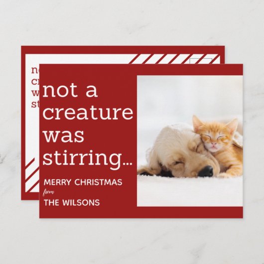 Carte Postale pas une créature ne remuait les photos rouges noël (Devant / Derrière)