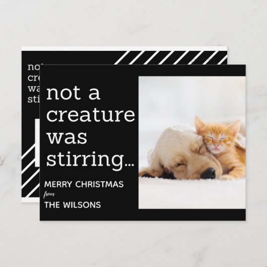 Carte Postale pas une créature ne remuait noires photo Noël (Devant / Derrière)