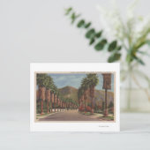 Carte Postale Pasadena, CA - Scène de rue résidentielle & Palms (Debout devant)