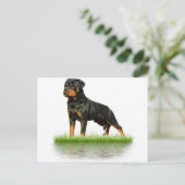 Carte Postale Pasha Earl Antonius (Debout devant)