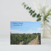Carte Postale Paso Robles, Californie, Pays Vins (Debout devant)