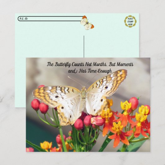 Carte Postale Passage à la frontière - Citation de papillon de p (Devant / Derrière)