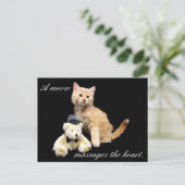 Carte Postale Passage à niveau - Cat Pic - Sundrop et Teddy Bear (Debout devant)