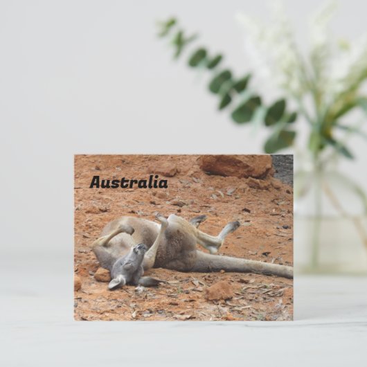 Carte Postale Passage de Kangaroo Rolling / Jeu (Debout devant)