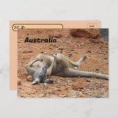 Carte Postale Passage de Kangaroo Rolling / Jeu (Devant / Derrière)