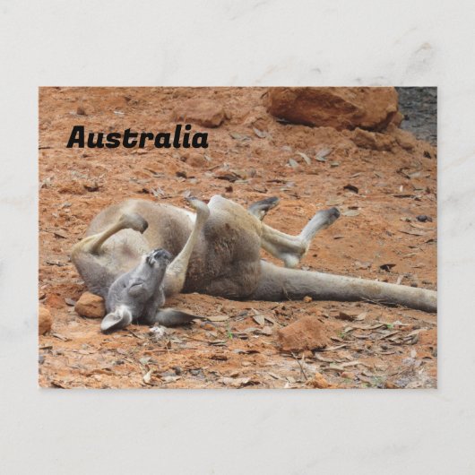 Carte Postale Passage de Kangaroo Rolling / Jeu (Devant)