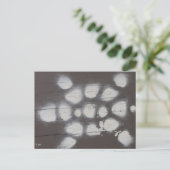 Carte Postale passage des tortues (Debout devant)