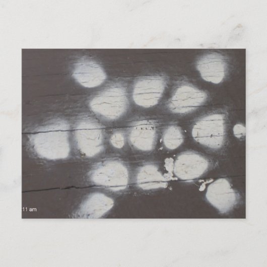 Carte Postale passage des tortues (Devant)