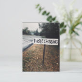 Carte Postale passage des tortues (Debout devant)