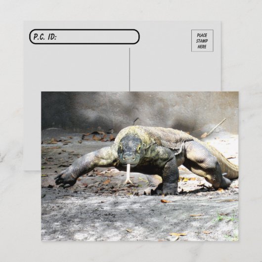 Carte Postale Passage - Komodo Dragon Venant Pour Vous (Devant / Derrière)