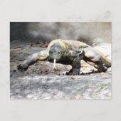 Carte Postale Passage - Komodo Dragon Venant Pour Vous (Devant)