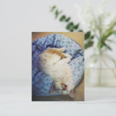 Carte Postale passer (Debout devant)