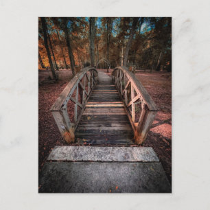 Carte Postale Passerelle en bois avec chemin forestier