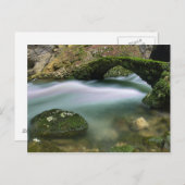 Carte Postale Passerelle sur l'eau trouble (Devant / Derrière)