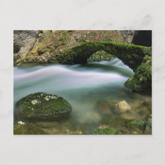 Carte Postale Passerelle sur l'eau trouble