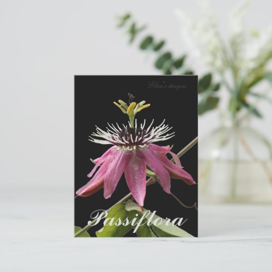 Carte postale Passiflora (Debout devant)
