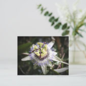 Carte Postale passiflora, fleur, mylife (Debout devant)