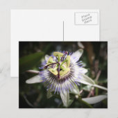 Carte Postale passiflora, fleur, mylife (Devant / Derrière)