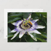 Carte Postale Passiflore (Devant / Derrière)