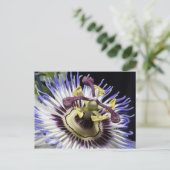 Carte Postale Passiflore en gros plan (MR) (Debout devant)
